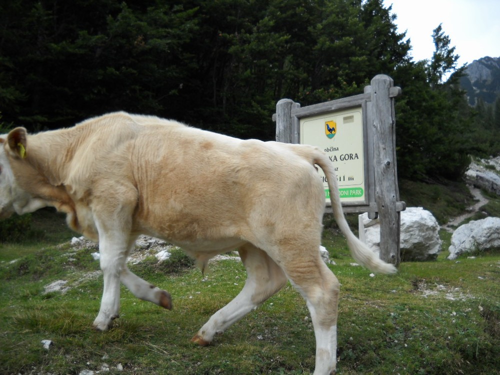 anabaze-dolomity-2010--207-